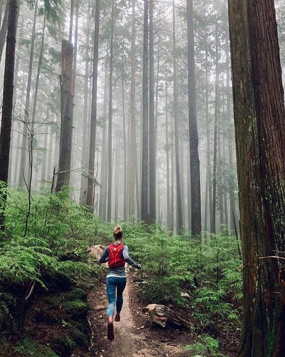 schachtwiesil's tweet photo. كن ملهماً: Every dog 🔺 🏞️ is a lion at home. murakami asuka https://t.co/cX9nuFuBb6