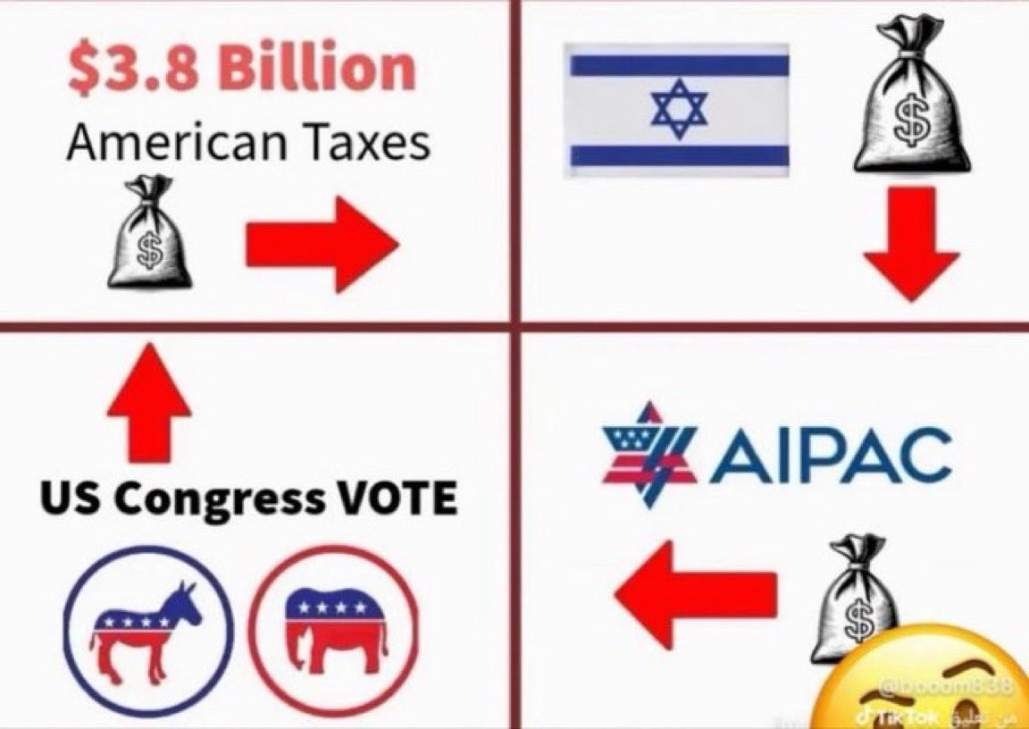 MulaMule300's tweet photo. @OwenShroyer1776 @medicnegligence Easy https://t.co/fuJKXv1MqE