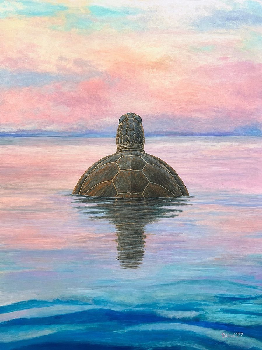 TurtOdds's tweet photo. We don't fear the current

We become stronger because of it

$Turtle https://t.co/lwVvjugFMo