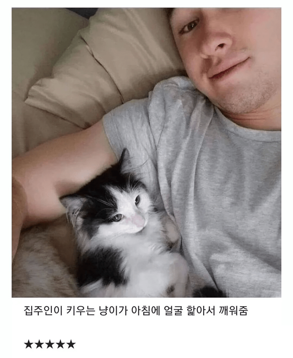 utzzal1's tweet photo. 숙소 별점 5점 준 이유 https://t.co/L1gFu6zOL2