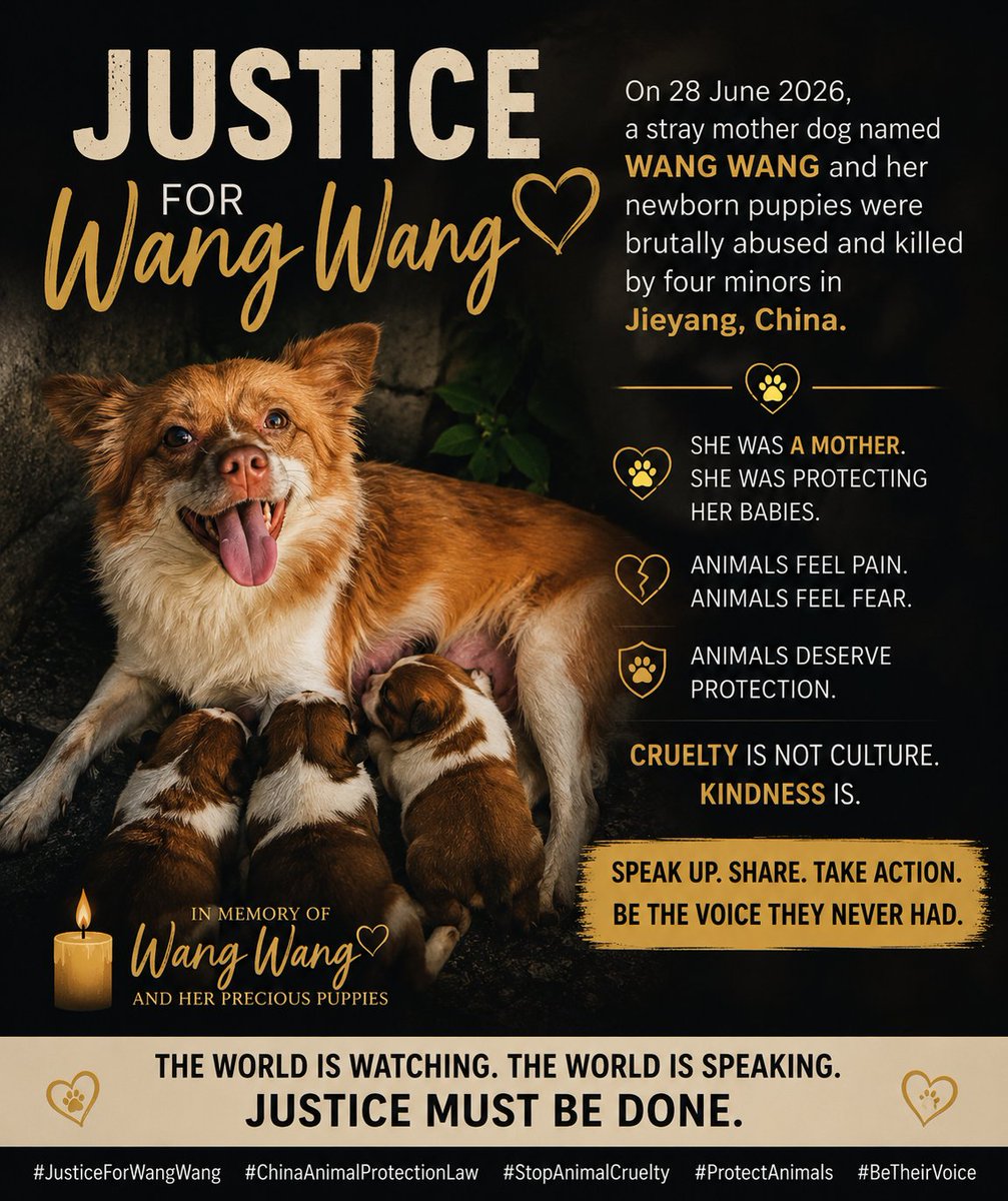 eAnKt8fTsTThYG3's tweet photo. 画像は一瞬で伝える力があります
#Justiceforwangwang https://t.co/1xBIYv5PkR