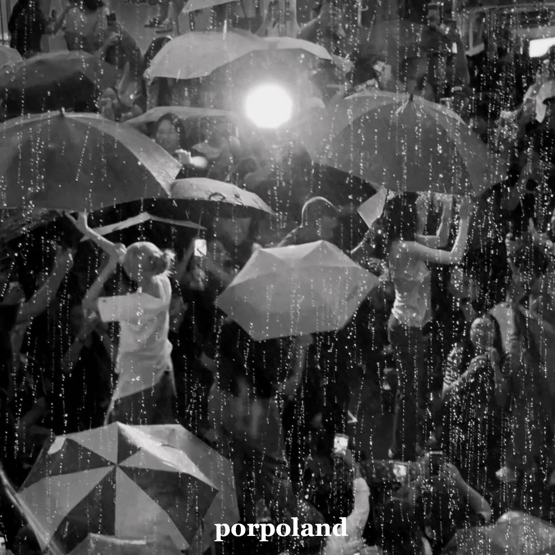 porpoland's tweet photo. https://t.co/8JbhOZBhhZ