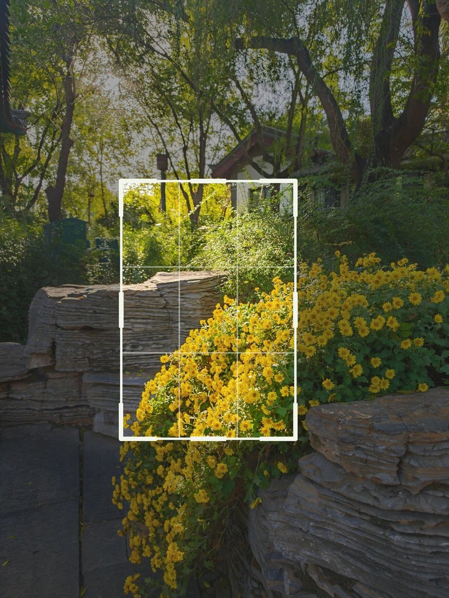 HJpoo2's tweet photo. New to photography Start with the rule of thirds! Place key subjects at grid lines for balanced, eye-catching shots. Grab your phone or camera—no fancy gear needed, just practice daily. https://t.co/sABx0oCjp4