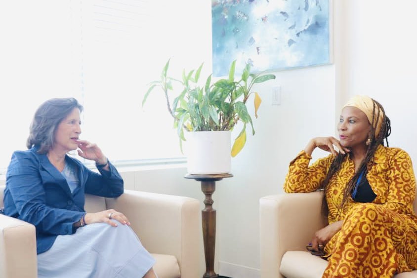ahunnaeziakonwa's tweet photo. Delighted to have my first courtesy call with @MelissaFleming, Chief @UN Global Comms &amp; her wonderful team. Their work across #Africa is phenomenal. I look forward to deepening our partnership across the UN Information Centres to amplify African stories, voices &amp; possibilities. https://t.co/O4WnU9ER0A