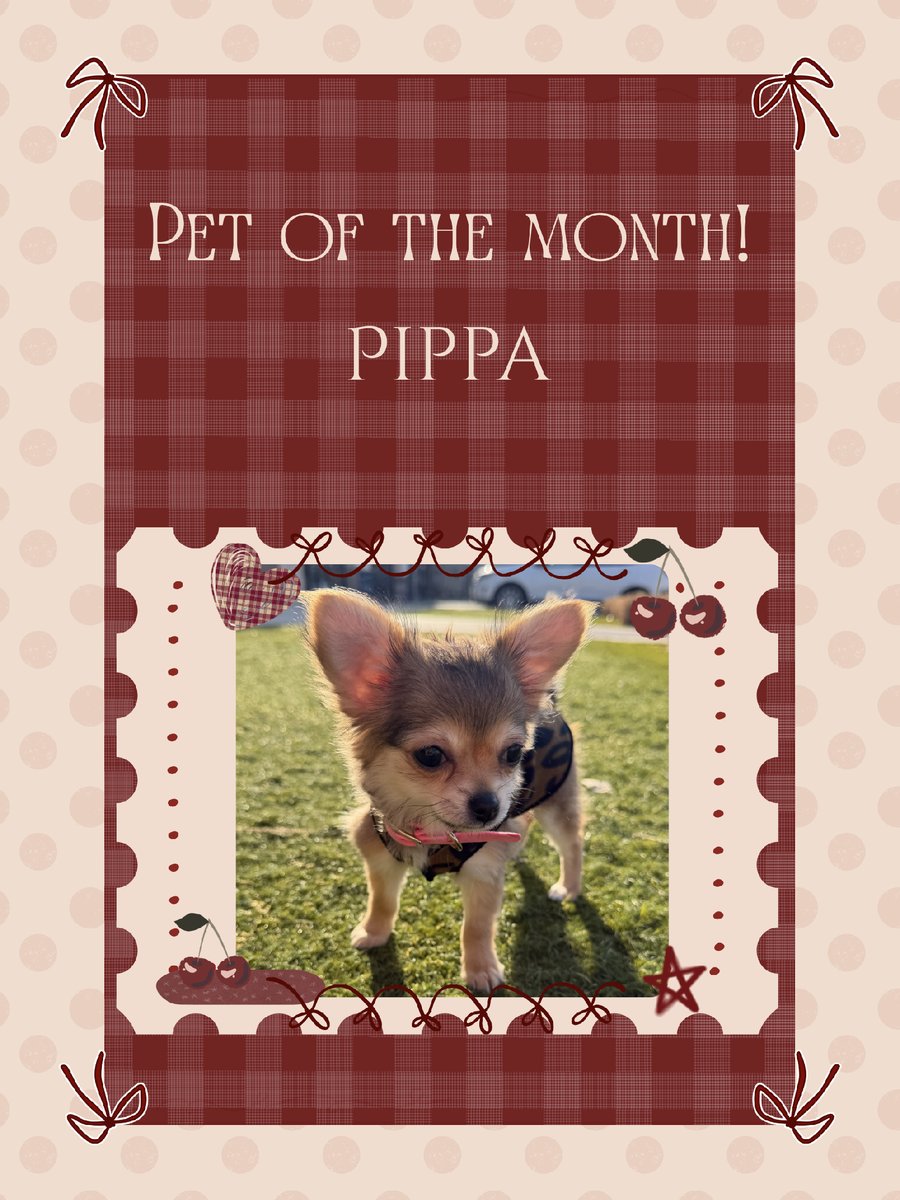 ModeraFrisco's tweet photo. Meet our August Pet of the Month! 🌟 Join us in celebrating this adorable furry friend. ❤️ #moderafriscosqare #friscoapts #millcreekres https://t.co/hPpcp3NHsC