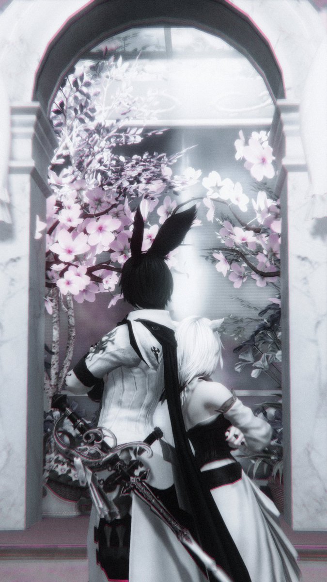 ff14_151617's tweet photo. 하 개뒷북같긴한데 비에라가 모자 써진다니
귀도 가려진다니 ㄹㅈㄷ 행복띠예예 https://t.co/Liy7zWJ7Nc