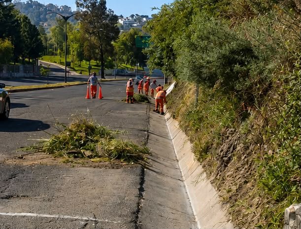 PueblaAyto's tweet photo. 📍Los resultados ya se ven en Blvd. Vicente Suárez.

@LimpiaPue , realizó labores preventivas de limpieza para mantener este corredor vial en mejores condiciones y disminuir riesgos ante la temporada de lluvias. 🌧️

Mantener limpia la ciudad también es prevenir. https://t.co/chpx5CCRA2