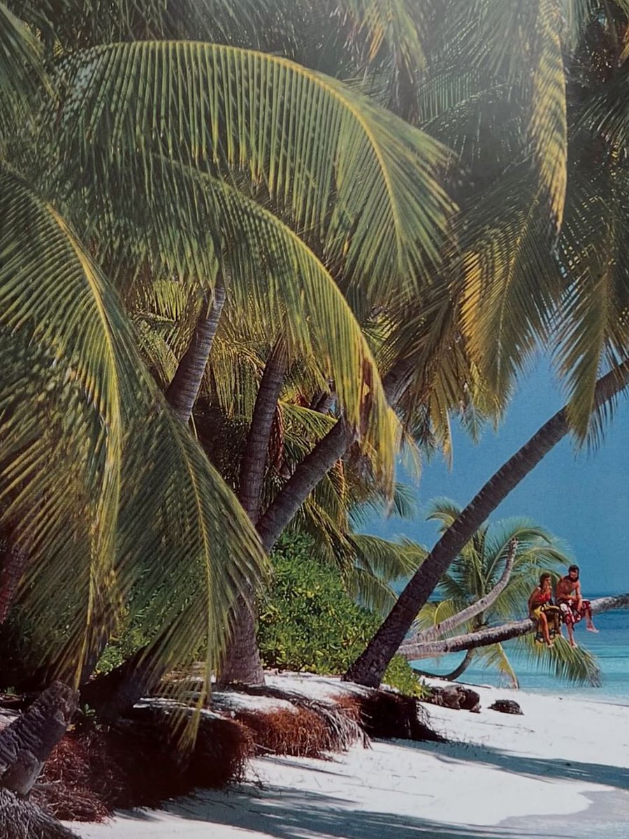 viewsfrance's tweet photo. L’archipel des Maldives dans les années 70-80, par Michael Friedel. https://t.co/Ay8qn9S5Ra