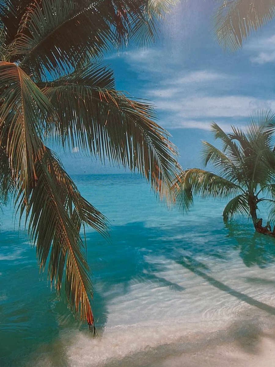 viewsfrance's tweet photo. L’archipel des Maldives dans les années 70-80, par Michael Friedel. https://t.co/Ay8qn9S5Ra