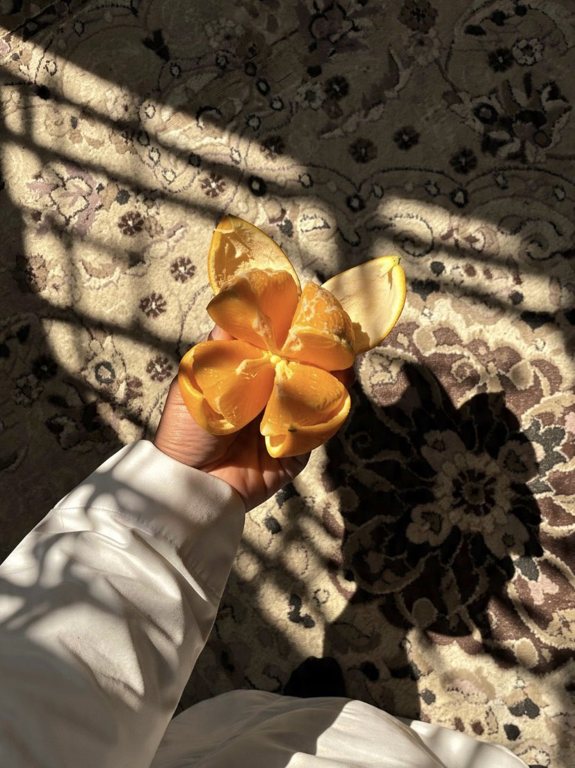 4c8ei's tweet photo. عشوائيات🍊 https://t.co/I27JARDoxF