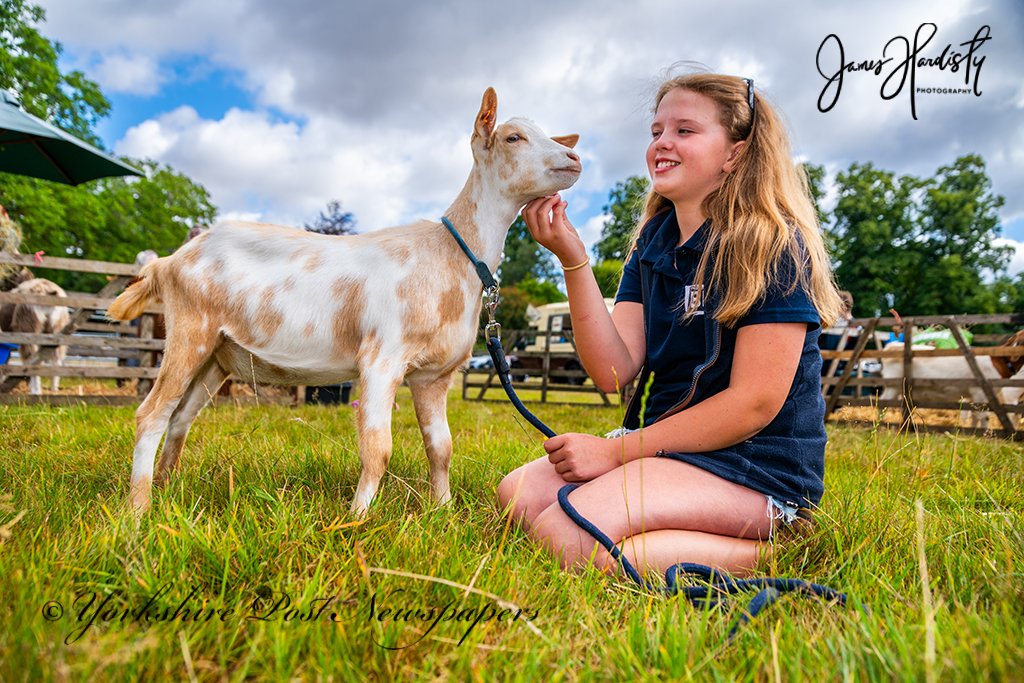 snapperjim's tweet photo. A few #images from yesterdays amazing Thornton-le-Dale Agriculture Show see more images and video online @yorkshirepost @JayMitchinson #farming #Yorkshire #ShowSeason a celebration of #UK #Farmers #farmlife #livestock #nature #animals #FarmLove @SWNS #YoungFarmers #Ryedale #Nikon https://t.co/iuqx6kkrZy