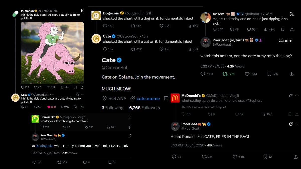 0xBNZ's tweet photo. I'm asking myself how some people are still not bullish on $CATE

The community is one thing, but the numbers are another

$CATE is pulling numbers you would normally expect from a much larger project

Just yesterday, the team launched a new X account and it already has 7,000 followers

The coin also gained more than 3,000 holders in the last 24 hours alone

That's not the kind of growth you usually see from a community that is supposedly "dead"

The X account has also been getting attention at an absurd rate

Within a day of being created, it ratioed posts from Pumpfun, Ansem, McDonald's, CoinGecko and even Dogecoin

On FOMO, $CATE is currently the most held coin on Solana and the second most held coin across every chain

"Most held" and "Solana" aren't two things you usually hear in the same sentence

Shoutout to @PoorGoat_ as well

He became the most followed account on FOMO and it's hard to ignore the attention he is bringing to the ecosystem

We are about to witness the most hated rally in a long time

Get ready