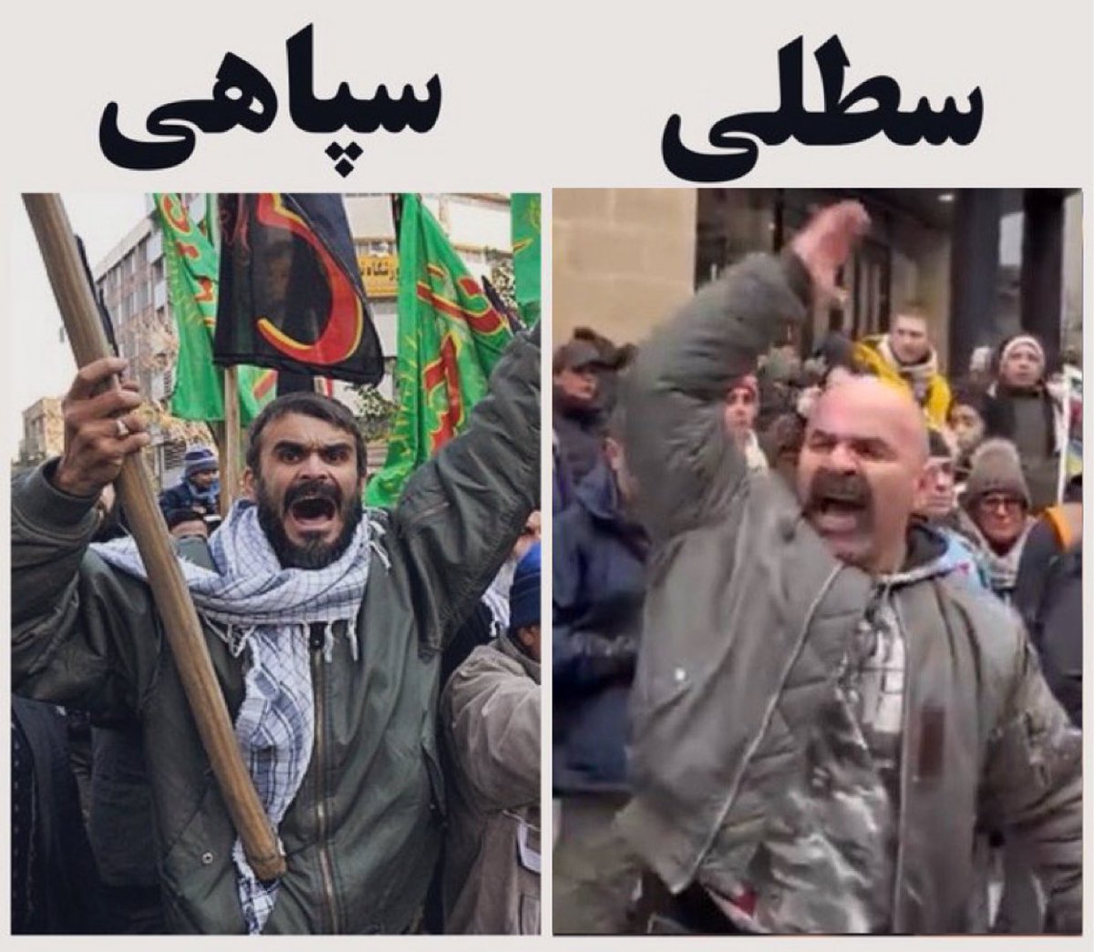 mirakh838's tweet photo. حتی در سایز دهان هم شبیه همدیگه هستن!
#سطلی_سپاهی https://t.co/gxv5NreKnn