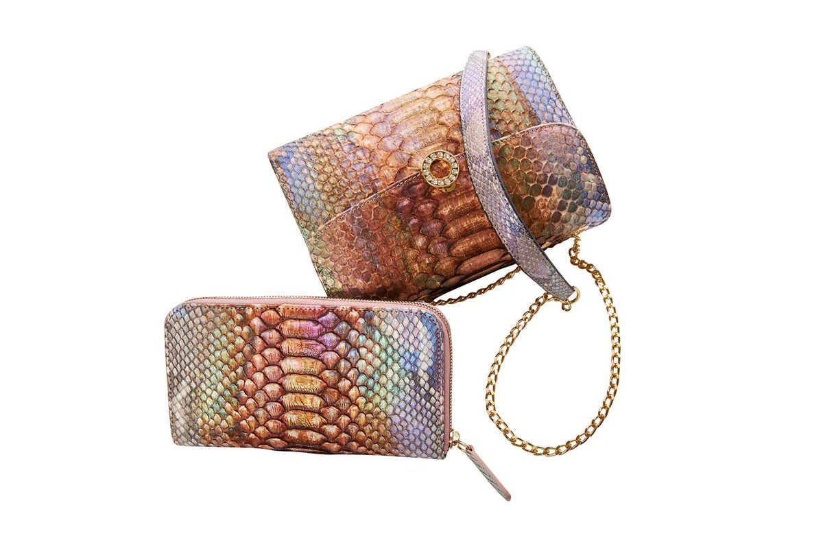 SouthlakePaws's tweet photo. Meet the Iridescent Python Day to Night Set — a whole vibe! ✨🐍 Perfect for day strolls and night outings. Stylish, eye-catching, and ready to turn heads. #PetStyle #SouthlakePaws Tap the link in bio. https://t.co/pClPGYyGfA