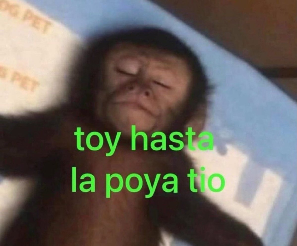 wikipistacho's tweet photo. https://t.co/zM5fWeCGbm