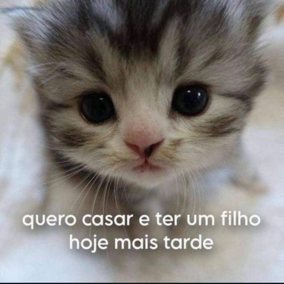 relacionemos's tweet photo. https://t.co/e7mDI6fEVK