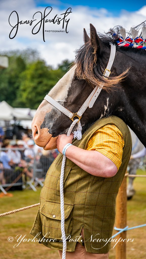 snapperjim's tweet photo. An #image from yesterdays amazing Thornton-le-Dale Agriculture Show see more images and video online @yorkshirepost @JayMitchinson #farming #Yorkshire #ShowSeason a celebration of #UK #Farmers #farmlife #livestock #nature #animals #FarmLove @SWNS #YoungFarmers #Ryedale #Nikon https://t.co/lRVVYSsm61