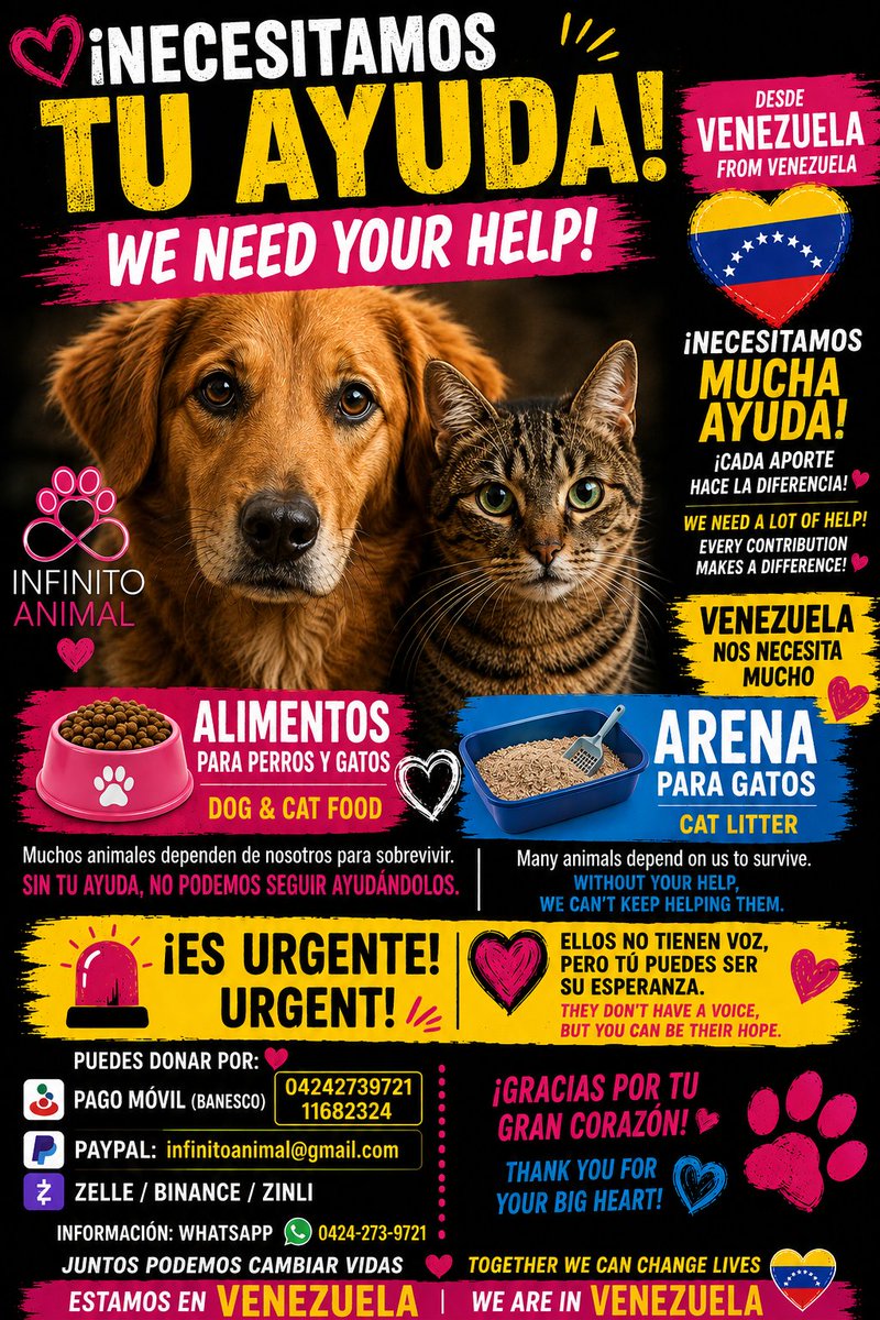 infinitoanimal2's tweet photo. 🆘🆘🆘 POR FAVOR DIFUNDIR TAMBIÉN AYUDA 🆘🆘🙏🐈🐕YA NO TENGO ALIMENTOS NI ARENA NADA 😿😿 RT @PerroUsuario https://t.co/FscZdje8lx