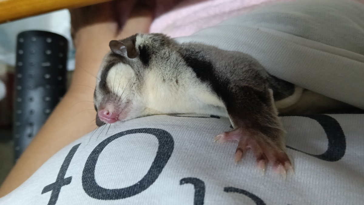 Jim_JC49's tweet photo. @Attunkouf2d 😴💤😉 https://t.co/RrghWS5UCT