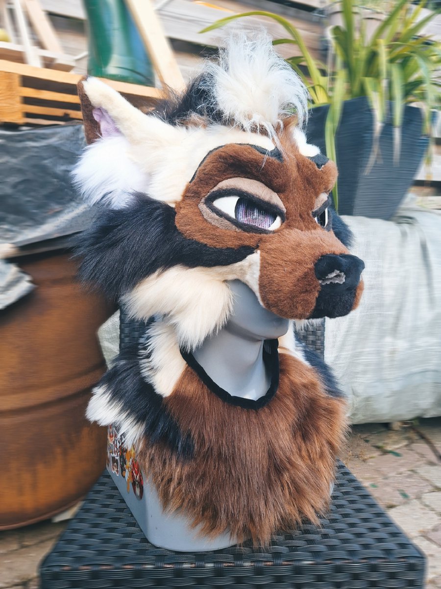 Featheredtrail's tweet photo. Whoo Vex is finished!!💜
Except from his necklace but I'll be working on that tomorrow! 

He is fully lined and handmade with lots of love!💜

He's for sale for only €800! 
~Shipping from EU~

I also take 2 commission slots from €950! DM for a free quote!💜👀 https://t.co/01S41aew0R