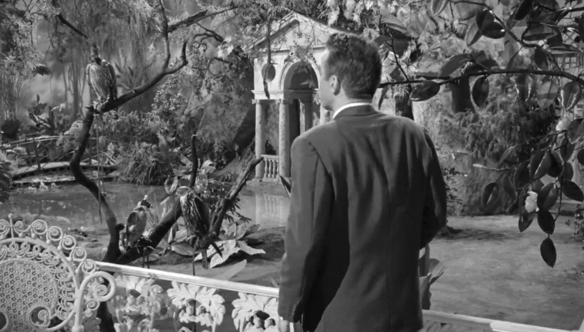 katagustafsson's tweet photo. suddenly , last summer (dir. joseph L. mankiewicz ,1959). https://t.co/525QXtZbrz