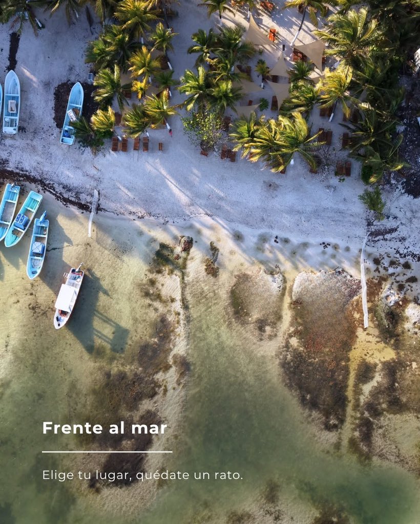 VisitMex's tweet photo. 🌴 Los días en Mahahual se disfrutan sin prisa.

Descubre cómo el mar, los sabores locales y la tranquilidad crean momentos que permanecen mucho después del viaje. Un destino donde desconectar también es parte de la experiencia. 🌊✨

¿Cuál agregarás a tu itinerario?

-

🌴 Life in Mahahual moves at a slower pace.

Discover how the sea, local flavors, and peaceful moments come together to create an unforgettable escape. Here, slowing down is part of the journey. 🌊✨

Which experience would you add to your itinerary?

#CaribeMexicano #CapitalMundialDeLasVacaciones #VisitMexico #MéxicoEstáDeModa
