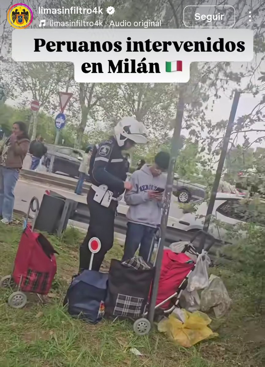 autentico1970's tweet photo. @Zascar1896 @ReporteYa Ahí tienes a tus querubines haciendo lo que mejor saben hacer dejando el gentilicio peruano en alto https://t.co/J2fDgYE5CJ