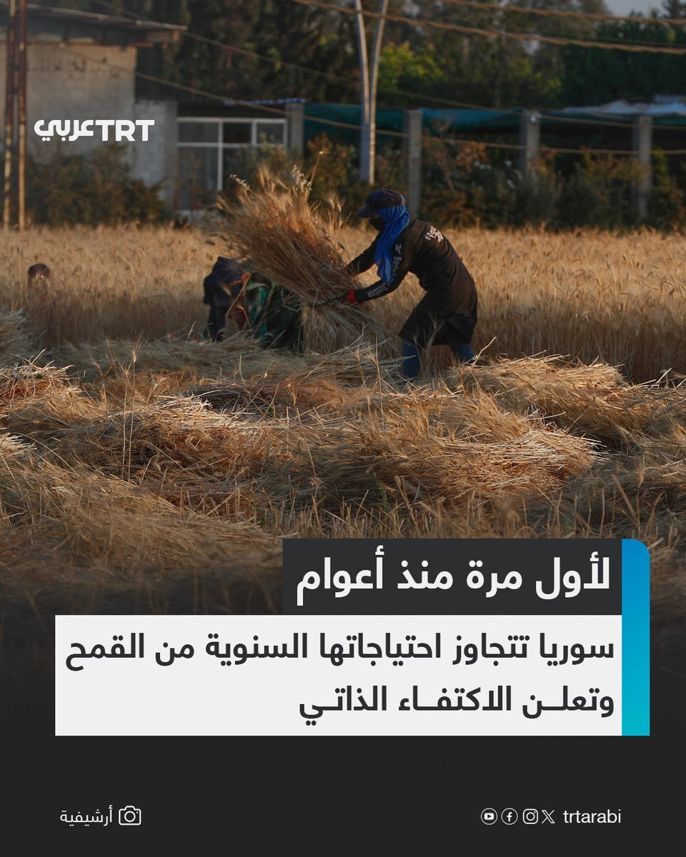 Kuwaity__7r's tweet photo. لاول مرة منذ سنوات طويلة ، سوريا تتجاوز احتياجاتها الاساسية من القمح وتعلن الاكتفاء الذاتي ، خبر رائع يؤكد على عزم السوريين في بناء وطنهم ، بكاء وعويل لذيول إيران من هذه الاخبار الطيبة https://t.co/uko2rYxwgq
