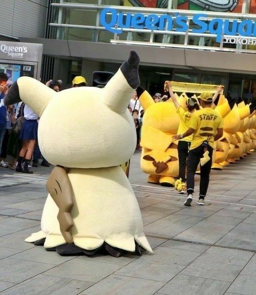 Pokemonpshot's tweet photo. He has been accepted alongside the Pikachu https://t.co/z9d6igJ3nH