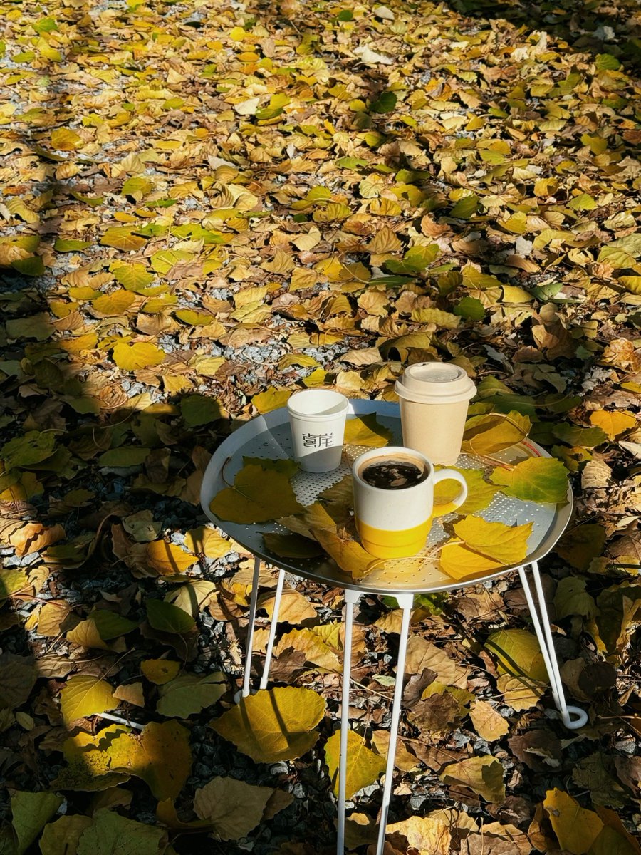 12330818a's tweet photo. Chilly autumn morning vibes—sipping warm coffee while leaves dance outside!  Fall’s here and it’s giving all the cozy feels. https://t.co/mCx4pVdWjq