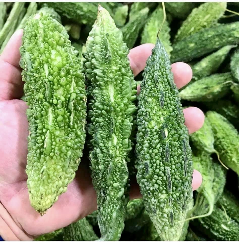 drdavidfriedman's tweet photo. This wart-covered fruit  won’t win a beauty contest, but bitter melon is a superfood! It’s packed with fiber, antioxidants, beta-carotene, calcium &amp; potassium. Low-cal, veggie-style fruit used raw or cooked. True beauty is on the inside. 💪🍈 #BitterMelon #Superfood #FoodFacts https://t.co/JcJ1Vvwqt7