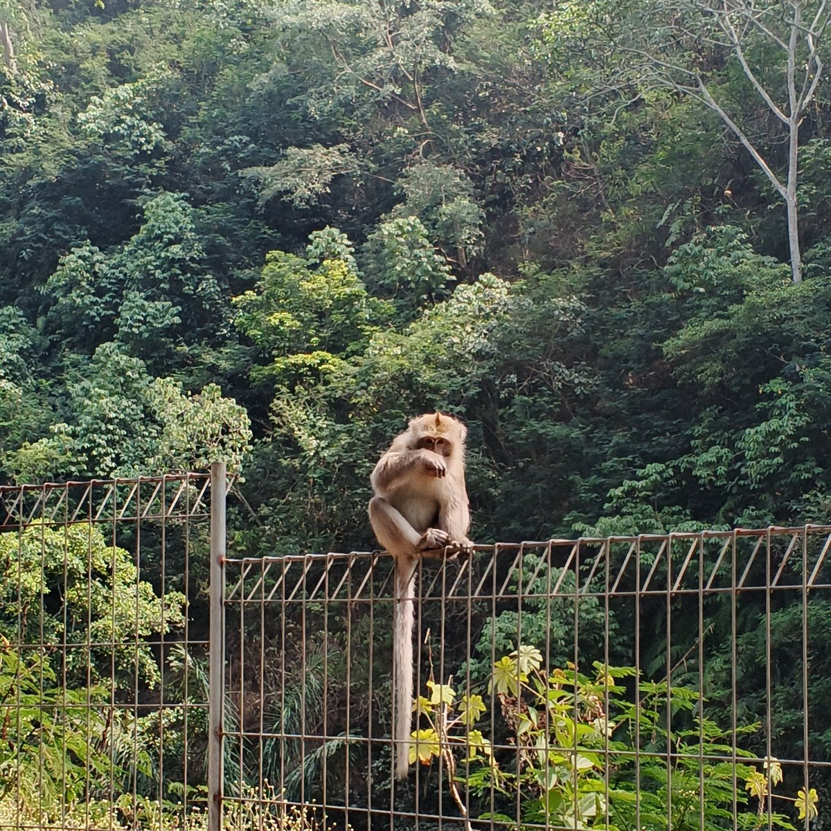 RizkyRhmn_'s tweet photo. AAAAAAA JADI MALUU🤭
begitulah kira-kira 🗿 https://t.co/8Uz6wCfeSj