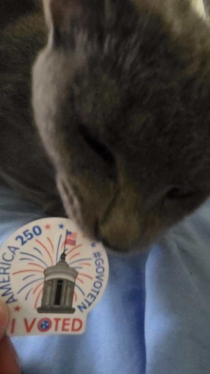 xrae's tweet photo. Bandit reminds everyone in Tennessee to get out and vote today. #GoVoteTN https://t.co/vm82WsXuUq