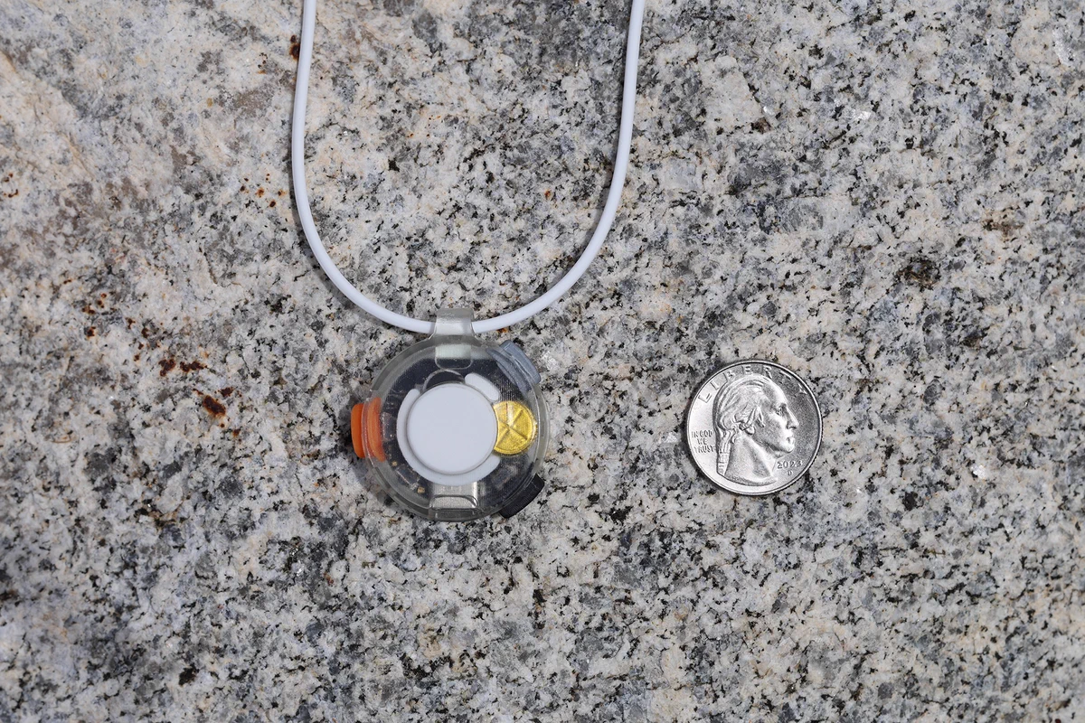 Close-up of VOX, a skin-worn wearable microphone, lying face-up on a speckled granite surface. The device is a clear round housing on a thin white cord, with internal components visible through the shell: a white circular button or membrane at the center, a gold-colored disc to its right, and orange and dark gray elements around the perimeter. A 2023 US quarter sits to the right at the same scale, matching the device in diameter.