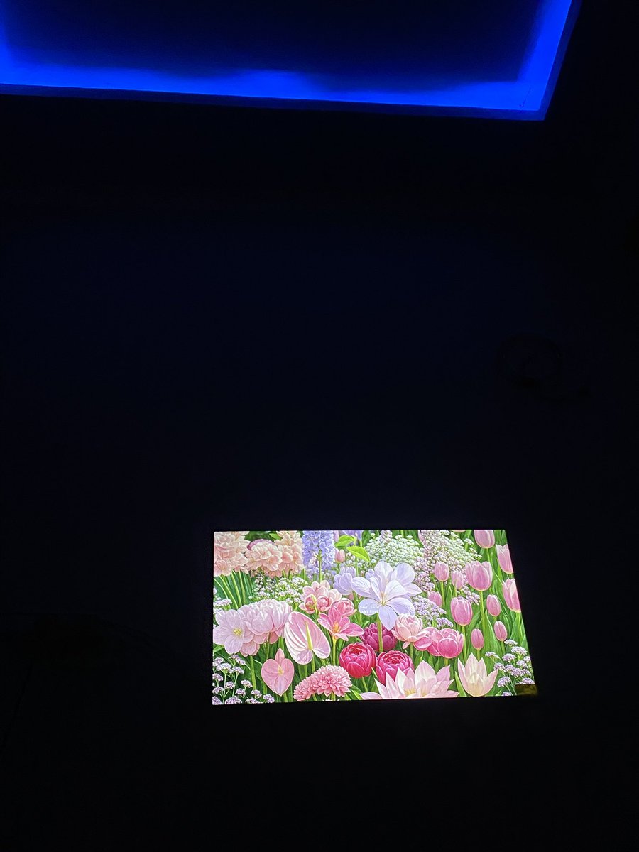 lunnethys's tweet photo. just me enjoying the calm of midnight. 💐🌸 https://t.co/2AsEFigLiU