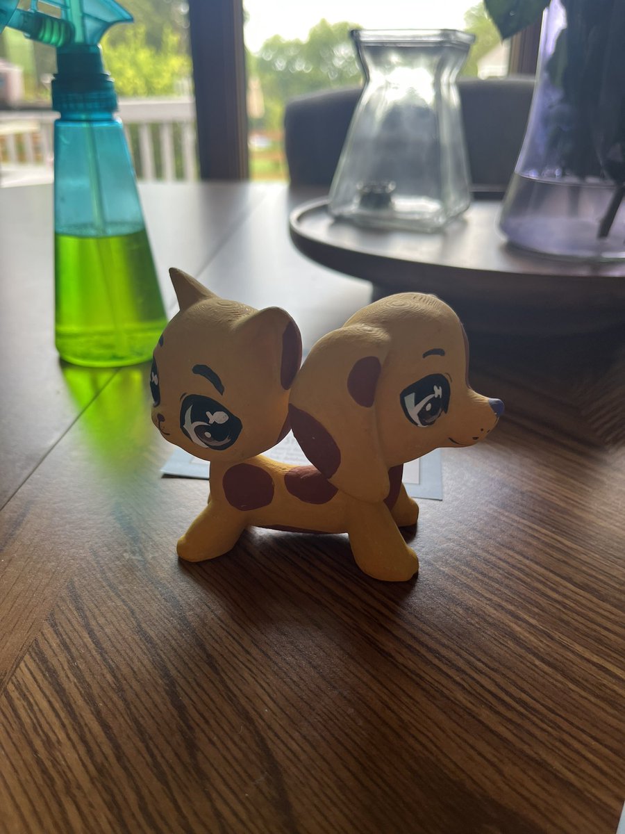 MrsCaticus's tweet photo. #catdog #mrscaticus https://t.co/DJumoufNL4