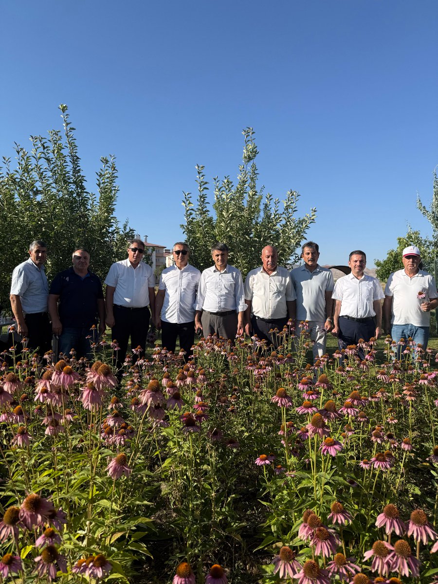 aliucar6565's tweet photo. Bugün, Yüzüncü Yıl Üniversitesi Ziraat Fakültesi'nin ev sahipliğinde düzenlenen 7. Tıbbi ve Aromatik Bitkiler Hasat Bayramı programına katılarak, akademik bilgi ile emeğin buluştuğu bu anlamlı organizasyonda hocalarımızın ve öğrencilerimizin özverili çalışmalarına yakından tanıklık etmenin mutluluğunu yaşadık.

Tıbbi ve aromatik bitkiler; tarımsal üretime sağladığı katma değerin yanı sıra kırsal kalkınmaya, sürdürülebilir tarıma ve ülkemizin üretim gücüne önemli katkılar sunmaktadır. Bilimsel çalışmaların uygulamayla buluştuğu bu tür etkinlikler, tarımın geleceğine yön veren, üretime ve bilgiye değer katan önemli organizasyonlardır.

Bu anlamlı programın düzenlenmesinde emeği geçen başta Ziraat Fakültesi Dekanımız Prof. Dr. Murat Tunçtürk olmak üzere tüm akademisyenlerimize, öğrencilerimize ve katkı sunan herkese gönülden teşekkür ediyor; hasat döneminin ülkemize, üreticilerimize ve tarım sektörümüze bereket, bolluk ve hayırlar getirmesini temenni ediyoruz.

Bereketimiz daim, hasadımız bol, geleceğimiz umut dolu olsun. @tkdkvan
@mehmet_uca @MuratTuncturk