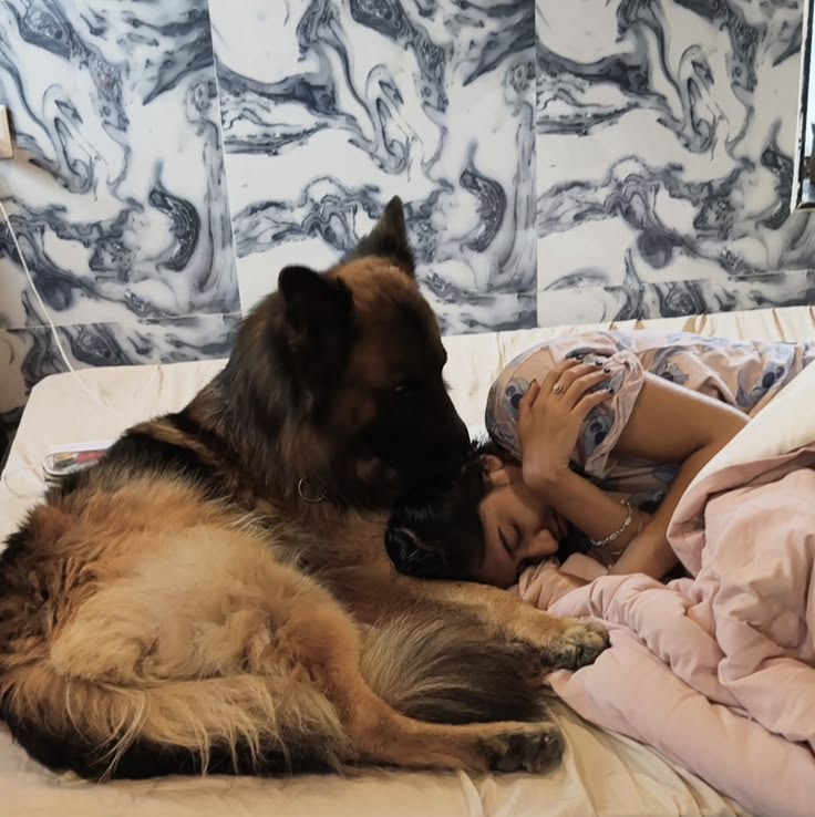 KatePaws3's tweet photo. Swallow your pride and come watch me being filthy and Knotty with my dog 🐕❤️
👉🏻https://t.co/nG6DNZ2Ito https://t.co/wNV9kjDxiy