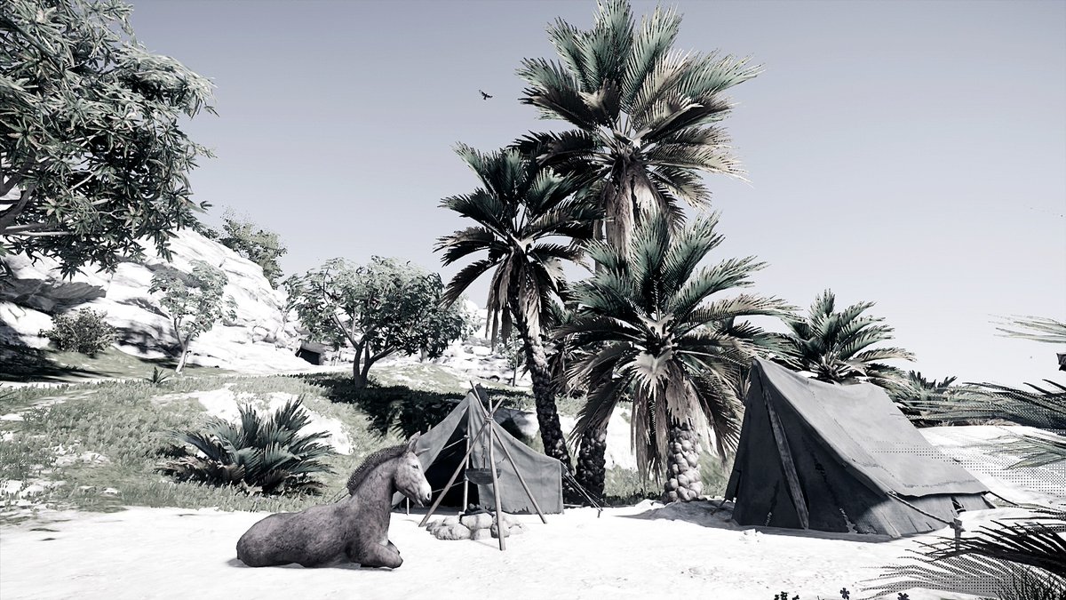 13brevkasse's tweet photo. #Leg #Puddle #AssassinsCreedOdyssey #Animal #Donkey @PatmanGames #Achaia #VGPNetwork #Æsel @EllynResident #Hay #AssassinsCreed #ThePhotoMode #Tent @salvia_network #RuinsOfHelike #Odyssey https://t.co/lqzNnYLxO5