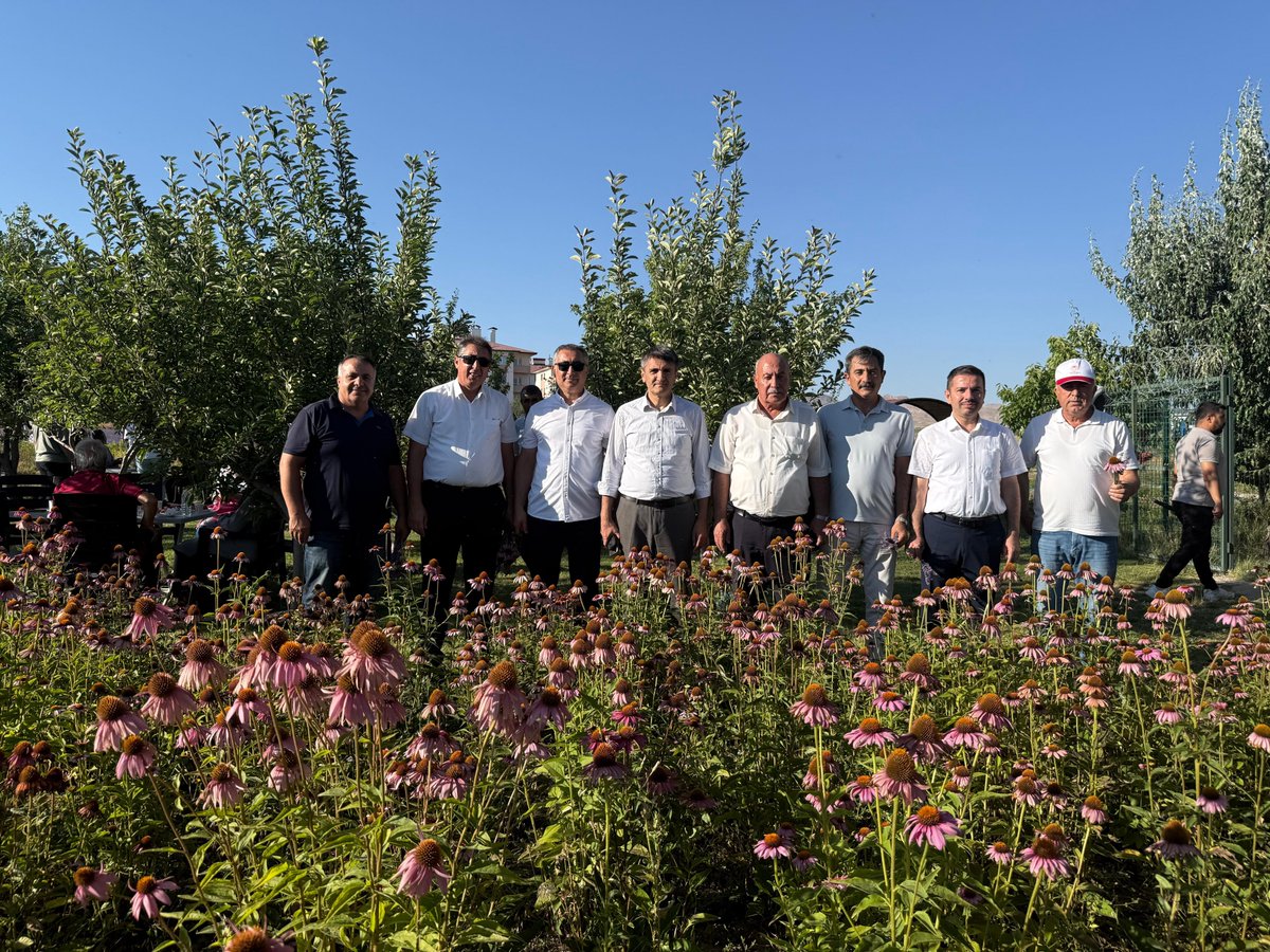 aliucar6565's tweet photo. Bugün, Yüzüncü Yıl Üniversitesi Ziraat Fakültesi'nin ev sahipliğinde düzenlenen 7. Tıbbi ve Aromatik Bitkiler Hasat Bayramı programına katılarak, akademik bilgi ile emeğin buluştuğu bu anlamlı organizasyonda hocalarımızın ve öğrencilerimizin özverili çalışmalarına yakından tanıklık etmenin mutluluğunu yaşadık.

Tıbbi ve aromatik bitkiler; tarımsal üretime sağladığı katma değerin yanı sıra kırsal kalkınmaya, sürdürülebilir tarıma ve ülkemizin üretim gücüne önemli katkılar sunmaktadır. Bilimsel çalışmaların uygulamayla buluştuğu bu tür etkinlikler, tarımın geleceğine yön veren, üretime ve bilgiye değer katan önemli organizasyonlardır.

Bu anlamlı programın düzenlenmesinde emeği geçen başta Ziraat Fakültesi Dekanımız Prof. Dr. Murat Tunçtürk olmak üzere tüm akademisyenlerimize, öğrencilerimize ve katkı sunan herkese gönülden teşekkür ediyor; hasat döneminin ülkemize, üreticilerimize ve tarım sektörümüze bereket, bolluk ve hayırlar getirmesini temenni ediyoruz.

Bereketimiz daim, hasadımız bol, geleceğimiz umut dolu olsun. @tkdkvan
@mehmet_uca @MuratTuncturk