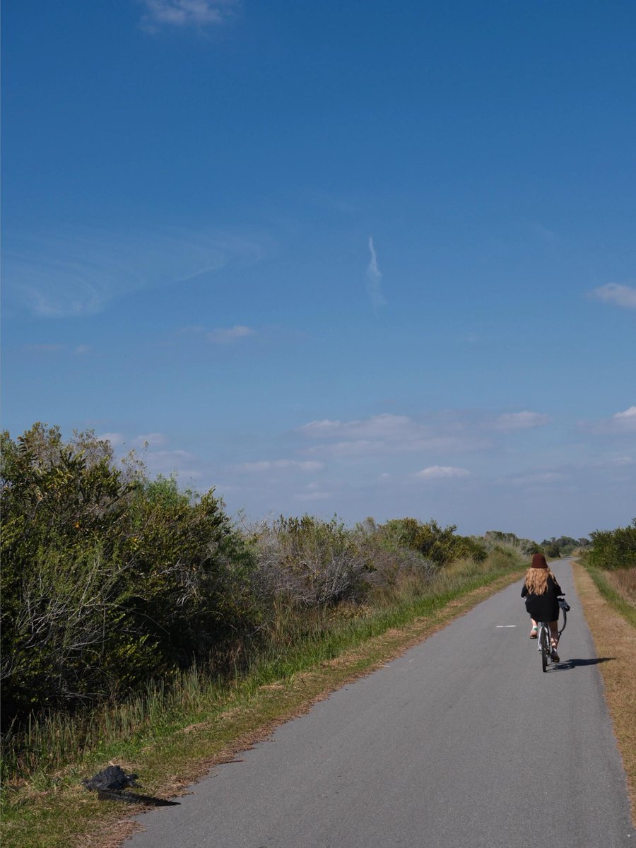 Briarery's tweet photo. My friend and I almost got caught! LOL But I was still a bit faster! https://t.co/myI0SJ4KEO