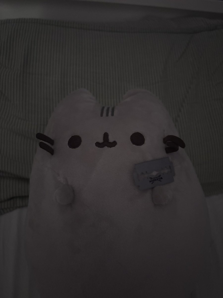 pusimimikur's tweet photo. no pusheen dont hurt yourself! #shtwt https://t.co/08BssRBaUI