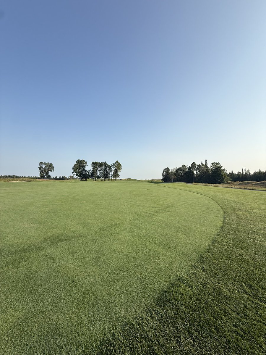 brdjx's tweet photo. Great day to play some golf. 

Sweet Grass @IslandResortMI https://t.co/J3kjKSbY29