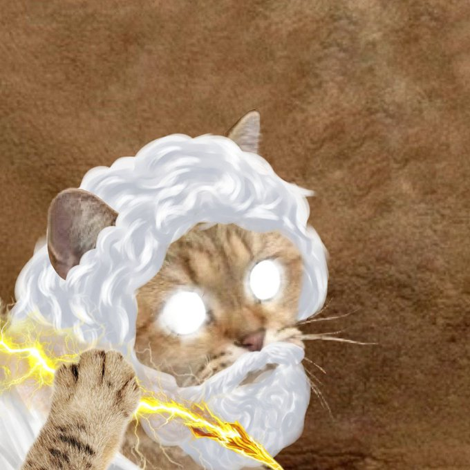 HeliaOnSolana's tweet photo. The one who controls the skies, $HELIA to new ceilings. https://t.co/fk01r6m0up