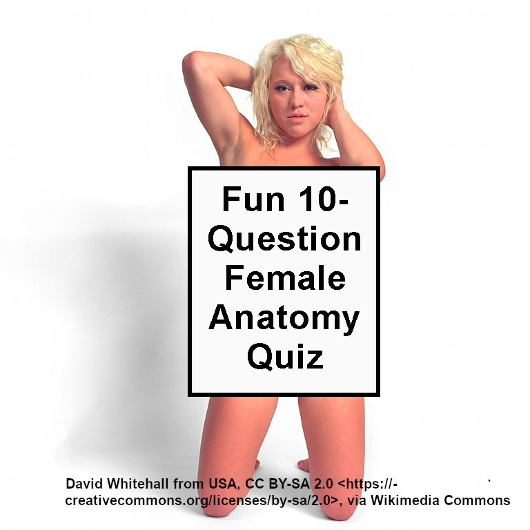 500wayscom's tweet photo. How much do you know about female anatomy? Enjoy the fun little 10-question quiz at https://t.co/S2BzRFlWuG (#female, #femaleAnatomy, #vagina, #vaginal, #clit, #clitoris, #breasts, #nude, #fallopianTubes, #women, #labia, #innerLabia,#vulva,#ovaries) https://t.co/AuD8fQqan9