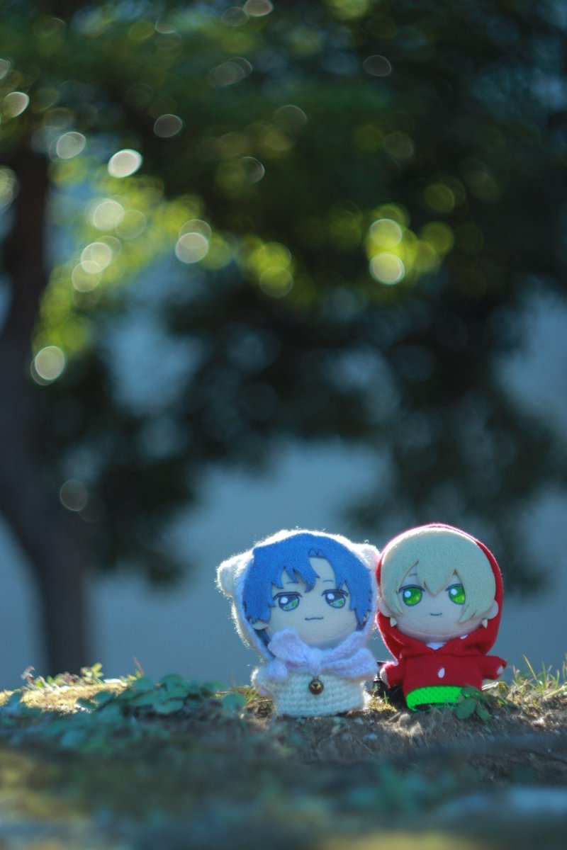 renononui's tweet photo. #まほやく_ぬい https://t.co/3255oYR85S