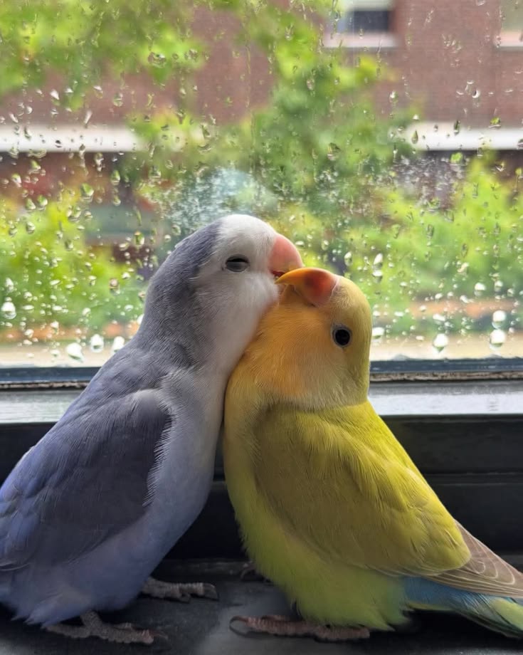 cutedreamvibes's tweet photo. https://t.co/jNEGN8zipa