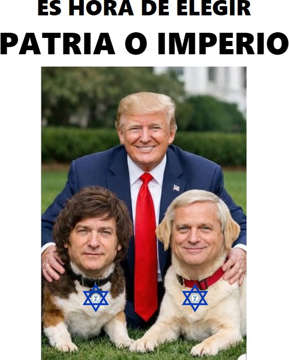 oniz82's tweet photo. El pastor alemán que es un perrito faldero https://t.co/gISrg9zTZf