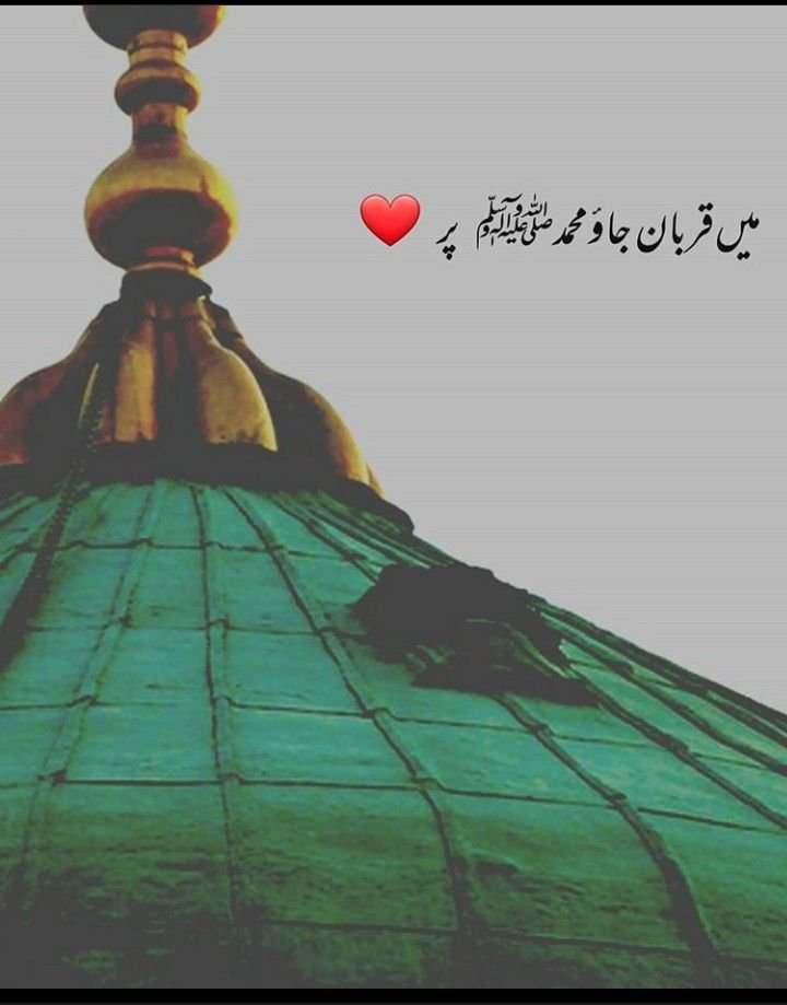 Yunhi_hun's tweet photo. 💖*🌹السلام و علیکم🌹*💖
💖🌸صباح_الخیر🦋

زندگی کی ایک اور خوشبودار صبح مبارک
زندگی بہت مختصرہے💖
ہر رات کا سویرا ضرور ہوتاہے
 مگرہر سونےوالے کی صبح نہیں ہوتی
 اپنی مختصرزندگی کولوگوں میں خوشیاں بانٹتے گزاریں.؟
#متاعِ_دل
#یو_نہی https://t.co/nGFfKIIHmC
