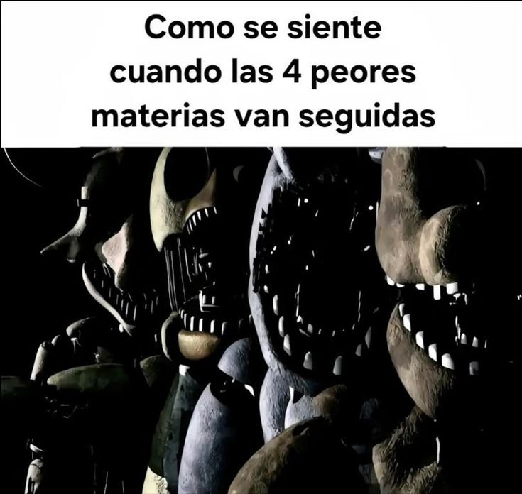 mmarinavidal's tweet photo. https://t.co/Gk8nLZy9sV